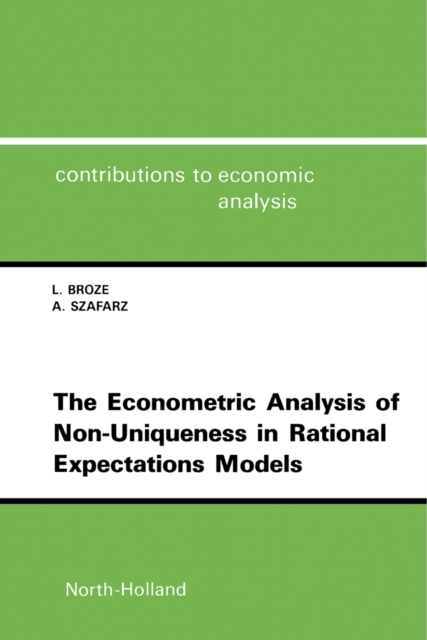 Econometric Analysis of Non-Uniqueness in Rational Expectations Models