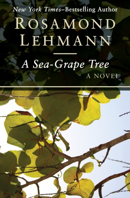 Sea-Grape Tree