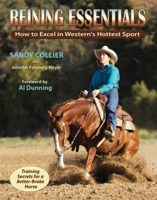 Physical Therapy for Horses