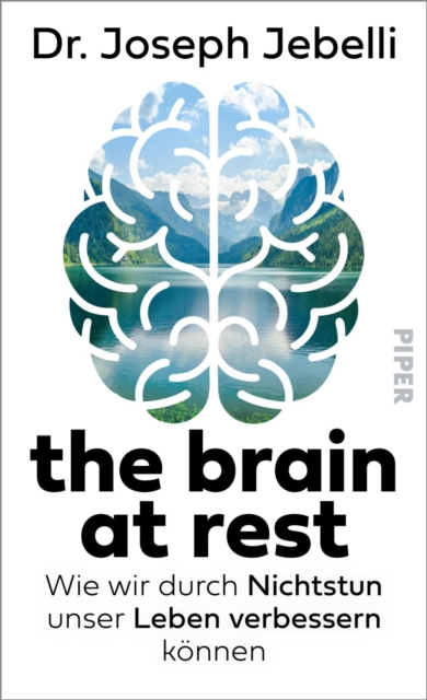 the brain at rest