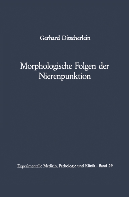 Morphologische Folgen der Nierenpunktion