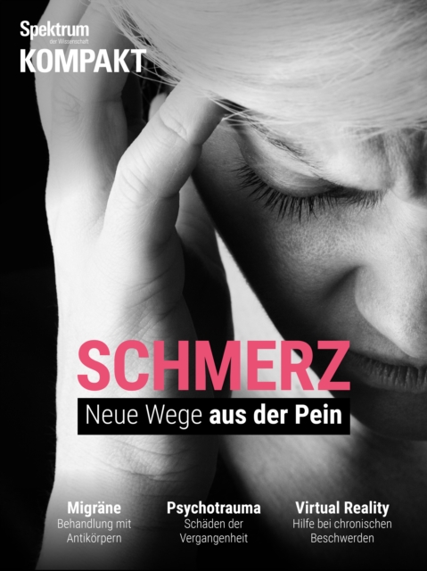 Gehirn&Geist Dossier - Das Geheimnis des Denkens