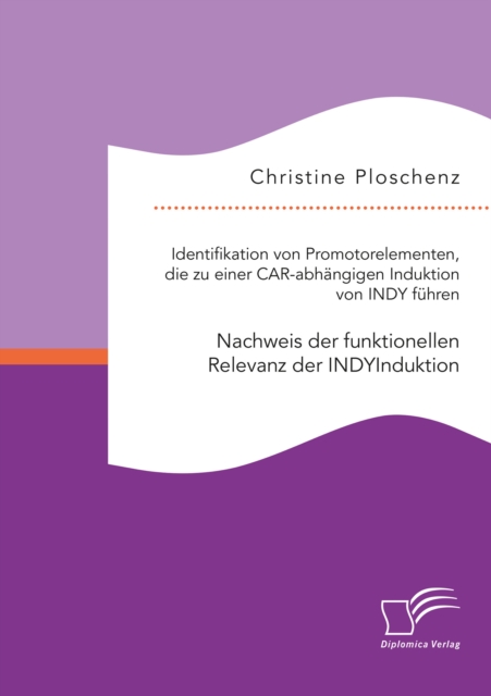 Influencer Marketing als Kommunikationsinstrument fur die nachhaltige Angebotsgestaltung von touristischen Destinationen