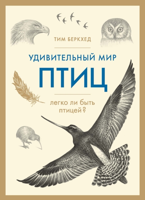 Bird Sense: What It's Like to Be a Bird