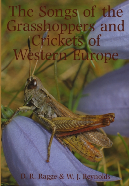 Songs of the Grasshoppers and Crickets of Western Europe
