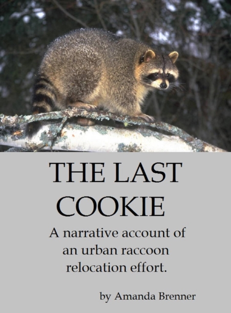 Last Cookie