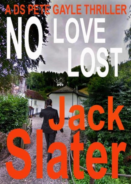 No Love Lost (DS Pete Gayle thriller series, Book 16)
