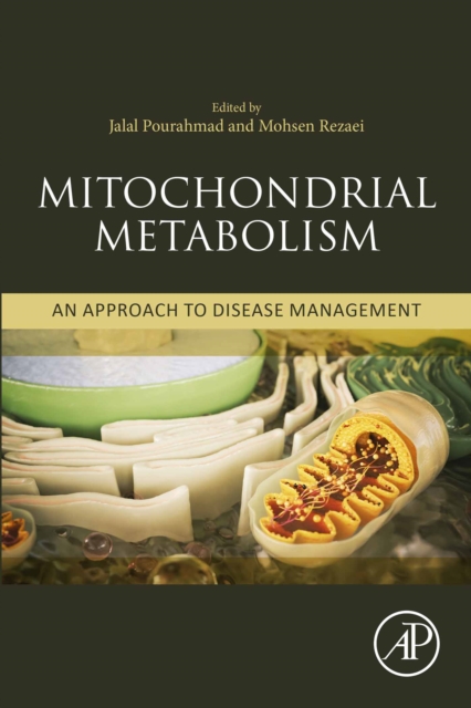 Mitochondrial Metabolism