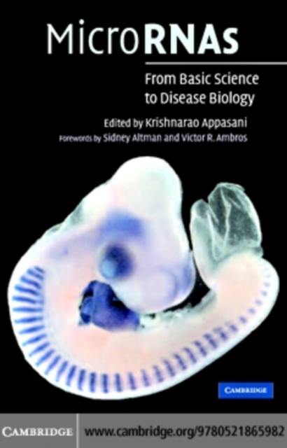 MicroRNAs