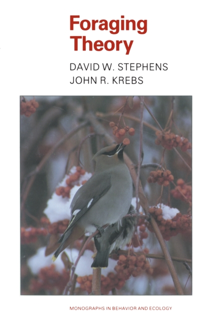 Stability and Complexity in Model Ecosystems