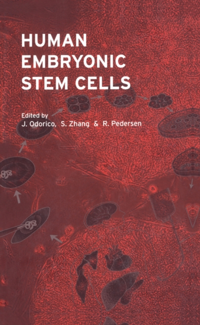 Human Embryonic Stem Cells