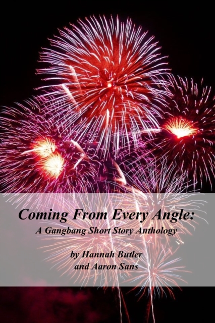 Coming From Every Angle: A Gangbang Short Story Anthology