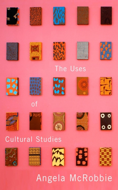 Uses of Cultural Studies