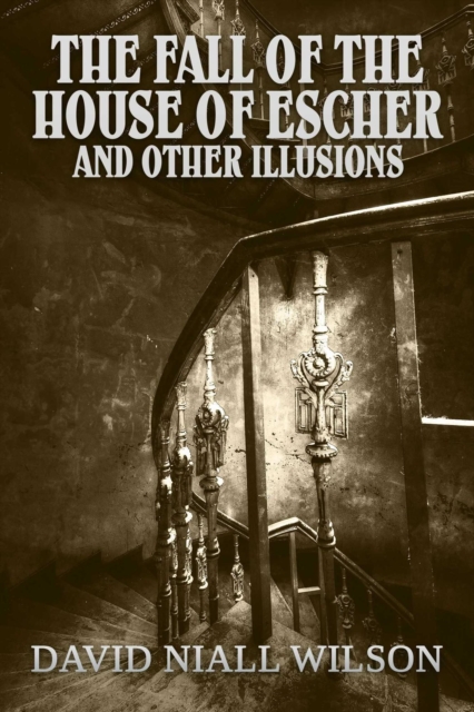 Fall of the House of Escher and Other Illusions