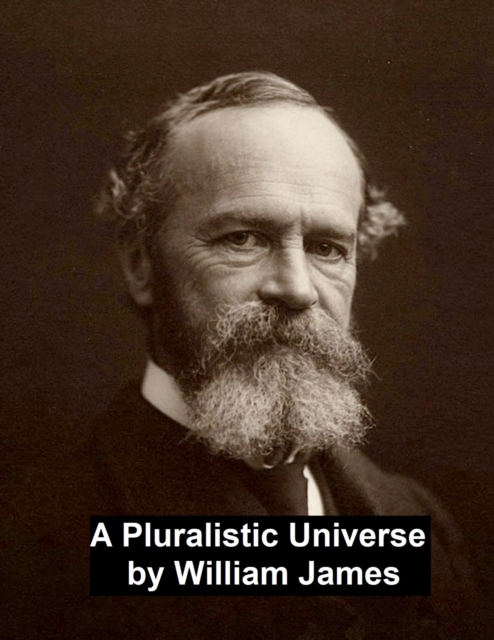 Pluralistic Universe