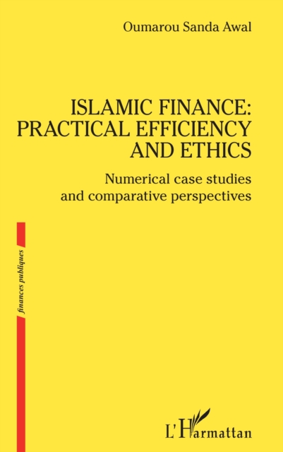 Islamic finance: practical efficiency and ethics