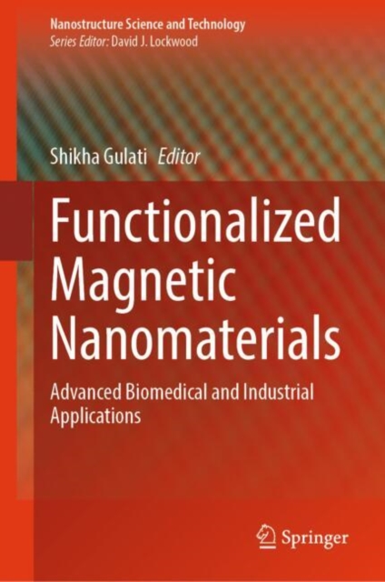 Functionalized Magnetic Nanomaterials