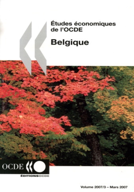 Etudes economiques de l'OCDE : Belgique 2007