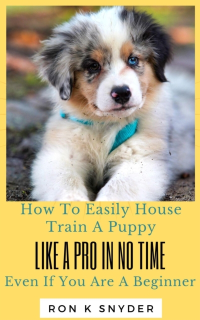 How To Easily House Train A Puppy Like A Pro In No Time Even If You Are A Beginner