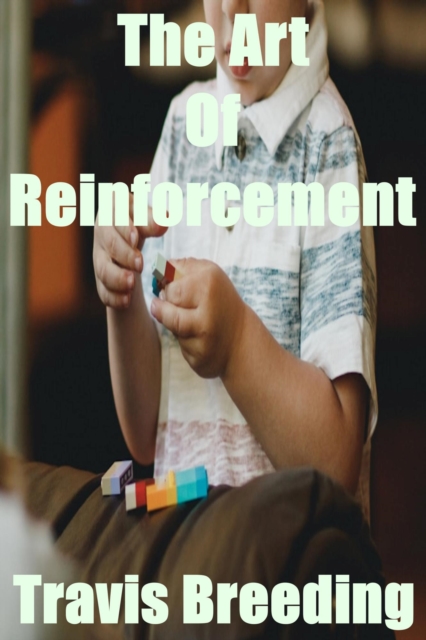 Art Of Reinforcement