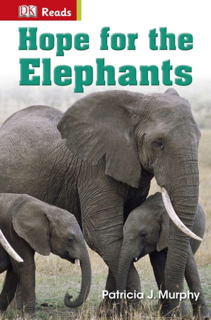 Hope for the Elephants