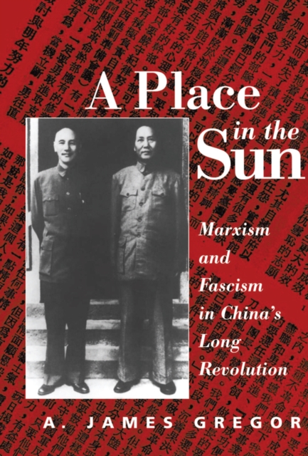 Place In The Sun