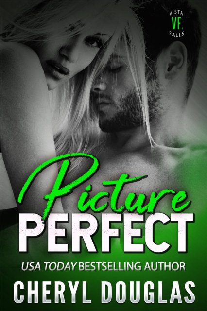 Picture Perfect (Small Town Romance)
