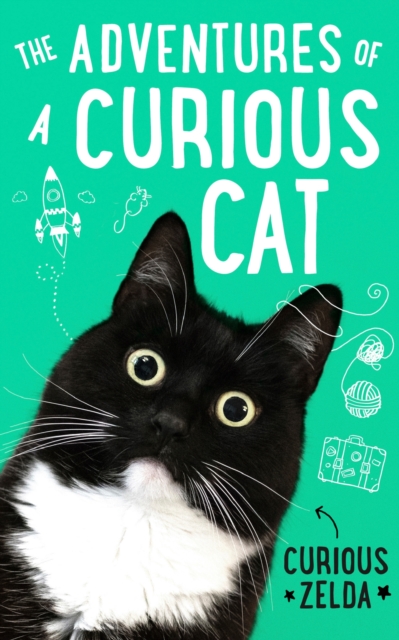 Adventures of a Curious Cat