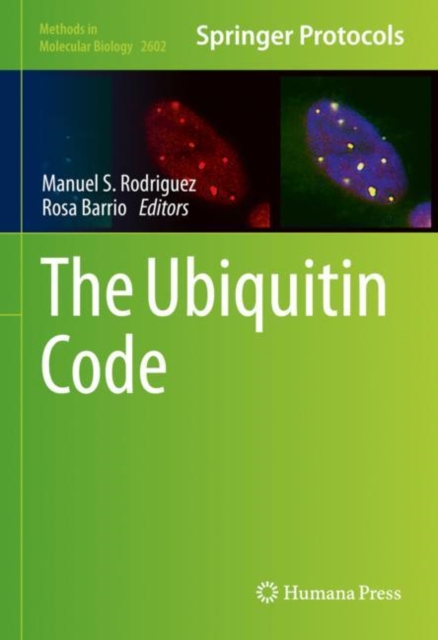 Ubiquitin Code