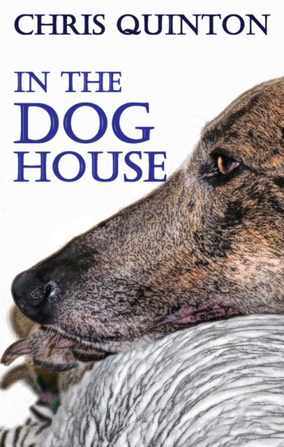 In The Doghouse