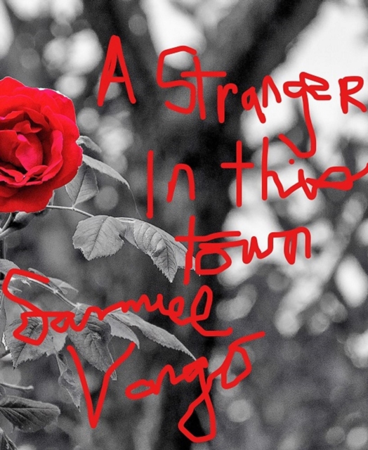 Stranger In This Town