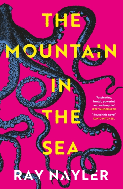 Mountain in the Sea