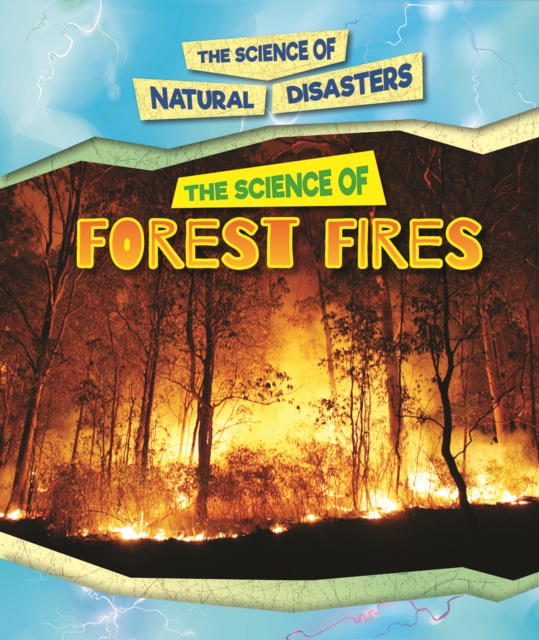Science of Forest Fires