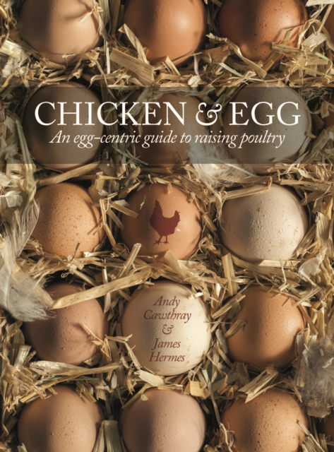 Chicken & Egg
