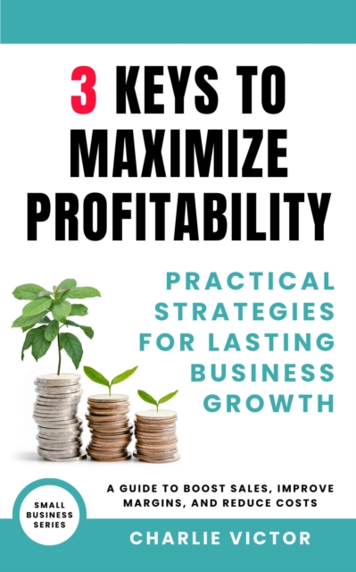 3 Keys to Maximize Profitability - Practical Strategies for Lasting Business Growth