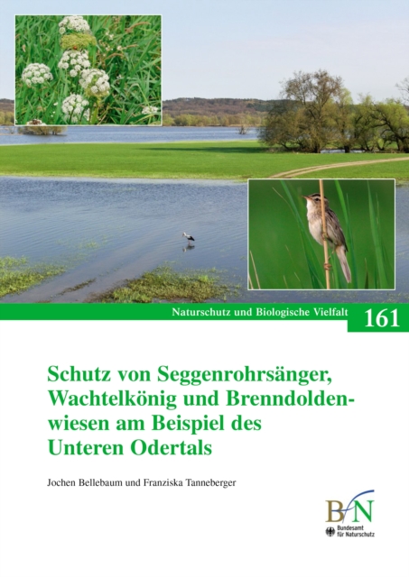 Schutz von Seggenrohrsänger, Wachtelkönig und Brenndoldenwiesen am Beispiel des Unteren Odertals
