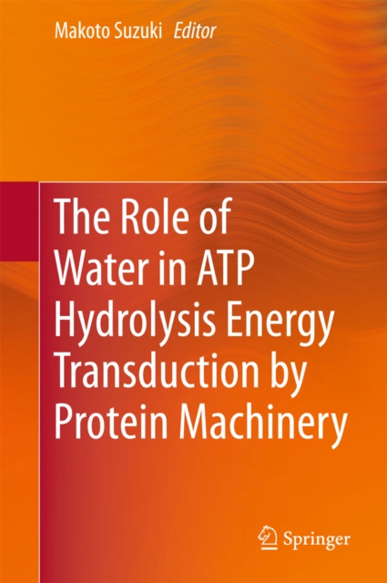 Role of Water in ATP Hydrolysis Energy Transduction by Protein Machinery