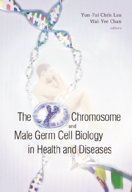 Y Chromosome And Male Germ Cell Biology In Health And Diseases, The