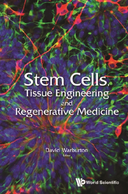 Stem Cells, Tissue Engineering And Regenerative Medicine