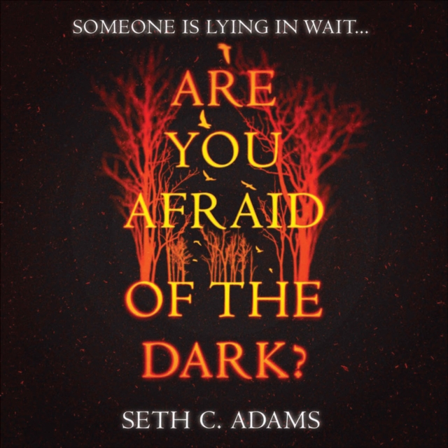 Are You Afraid of the Dark?