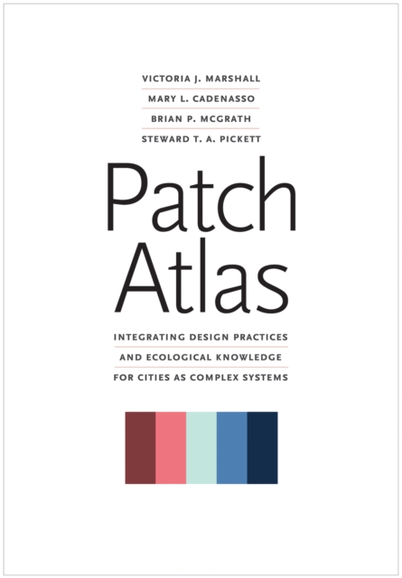 Patch Atlas