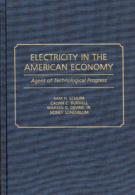 Electricity in the American Economy