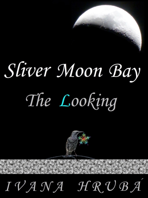Sliver Moon Bay: The Looking