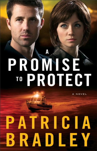 Promise to Protect ( Book #2)