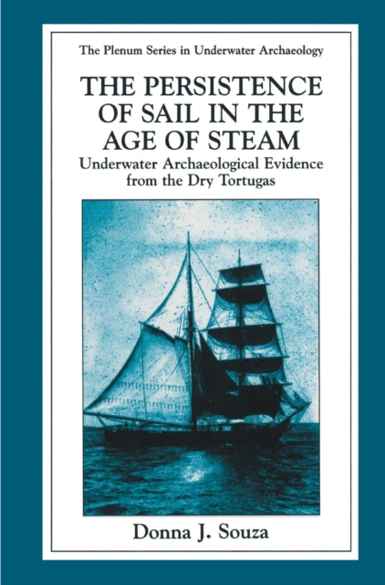 Persistence of Sail in the Age of Steam