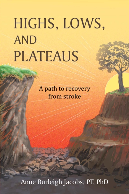 Highs, Lows, and Plateaus