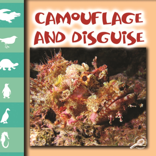 Camouflage and Disguise