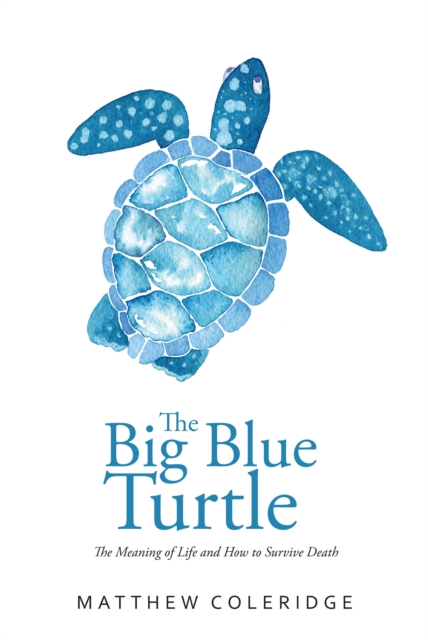 Big Blue Turtle