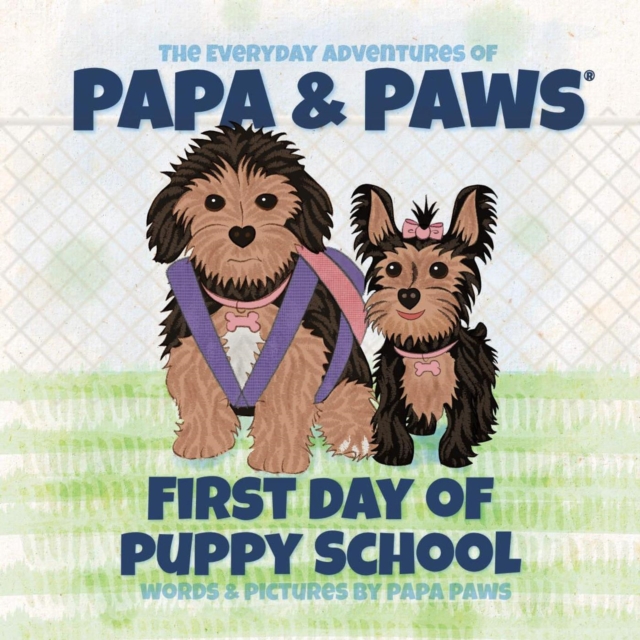 First Day of Puppy School