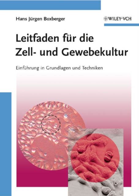 Chemie für alle Jahreszeiten
